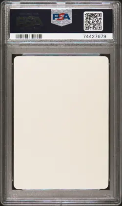 2020 POKEMON JPN S PROMO STICKER LET'S HAVE FUN! SPRING, POKEKA PSA 6 - Image 2