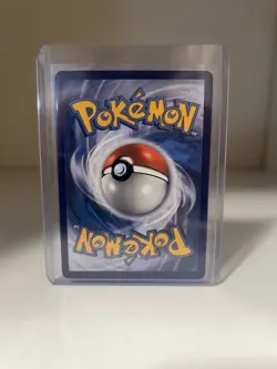 Froakie - SV11/SV94 - Hidden Fates: Shiny Vault Holo - Rare- Pokemon TCG 2019 NM - Image 2