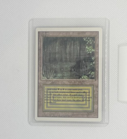 Bayou Revised Edition Regular - Image 1