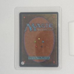 Bayou Revised Edition Regular - Image 2