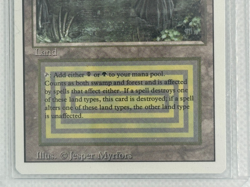 Bayou Revised Edition Regular - Image 4