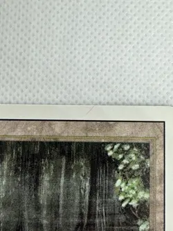 Bayou Revised Edition Regular - Image 5