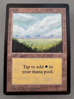 Plains Limited Edition Beta (288) MTG-Lightly Played Excellent-Vintage Magic - Image 1