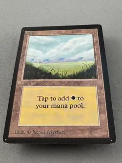 Plains Limited Edition Beta (288) MTG-Lightly Played Excellent-Vintage Magic - Image 3