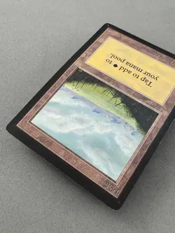 Plains Limited Edition Beta (288) MTG-Lightly Played Excellent-Vintage Magic - Image 5