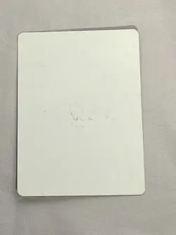 MTG Morgue Toad Artist Proof and Signature Signed Vohwinkel - Image 2