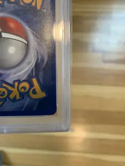 Pokemon Cards PSA 8 Sneasel EX - Holo EX Ruby & Sapphire 103/109 - Image 5
