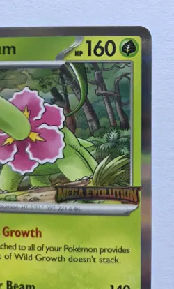 Pokemon TCG Meganium Pre-Release Mega Evolutions Stamped Black Star Promo - LP - Image 4