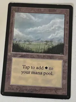 Magic the Gathering MTG Beta Plains v.1 (TREES) MP (Beta Bob) - Image 1