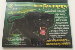 Weird N' Wild Creatures - Nightmares of Nature Cards Pack of 10 Set of 2 (New) - Image 3