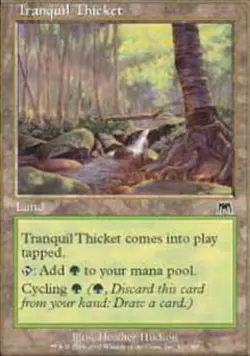 Tranquil Thicket x4 - Onslaught - NM-Mint, English - Onslaught - Image 1