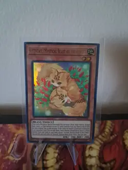 Kittytail, Mystical Beast of the Forest MP24-EN205 - Ultra Rare Yu-Gi-Oh! - Image 1