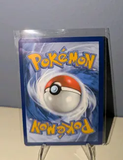 Wailord 162/159 Journey Together 2025 IR Holo Rare Pokemon Card TCG - Image 2