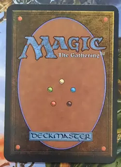 Mtg Alpha Feedback - Image 2