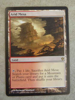 2009 MTG Magic the Gathering Arid Mesa (211/249) Zendikar - Image 1