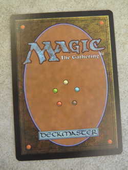 2009 MTG Magic the Gathering Arid Mesa (211/249) Zendikar - Image 2