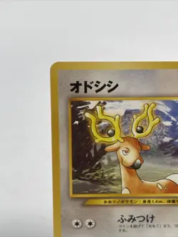 Pokemon TCG Stantler No.234 Non Holo Common Neo Genesis Japanese NM US SELLER - Image 3