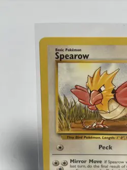 SPEAROW - Jungle Set - 62/64 - Common - Pokemon Card - Unlimited - NM - Image 3