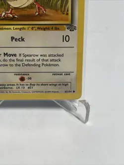 SPEAROW - Jungle Set - 62/64 - Common - Pokemon Card - Unlimited - NM - Image 5