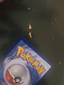 Pokemon TCG Charmander SWSH232 Black Star Promo Holo Card NM Condition - Image 4