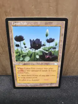 Magic The Gathering Lotus Vale Weatherlight - Image 2
