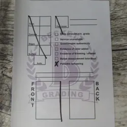 Magic The Gathering MTG Underground Sea Dual Land Revised BGS Authentic Altered - Image 3