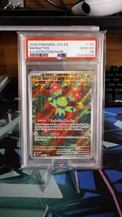 2025 Pokemon Maractus Illustration Rare 160/159 PSA Gem Mint 10 - Image 1