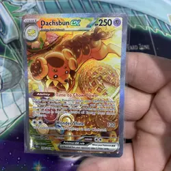 2024 Pokemon Scarlet & Violet Stellar Crown Dachsbun ex #169/142 - Image 2