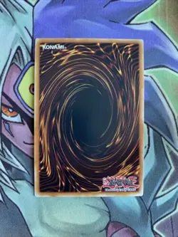 SDCB-EN014 Ash Blossom & Joyous Spring Common 1st Edition NM Yugioh Card - Image 2