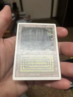 MTG Bayou Revised Edition Regular Rare Dual Land HP - Image 2