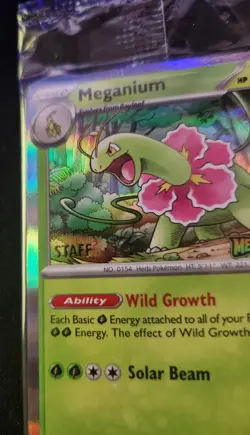Pokemon Mega Evolution STAFF Promos Sealed Set Of 4 Full - Image 2
