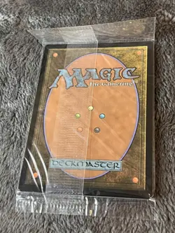 Bag of Holding - Forgotten Realms - Foil Promo SEALED - Image 2
