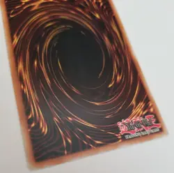 Yu-Gi-Oh Phoenix Wing Wind Blast Card (1996) Yugioh, FET-EN053 - Image 2