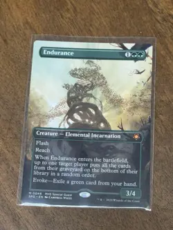 Endurance (Borderless) Special Guests Regular - Image 1