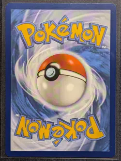 N's Zorua 189 Sv: Scarlet & Violet Promo Cards Holo - Image 2