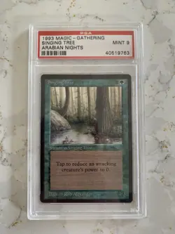 MTG Unlimited Legends Arabian Nights PSA9 MINT Collection Rare Old School - Image 4