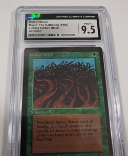 MTG Beta Wall of Wood CGC 9.5 MINT+ 1993 Vintage Graded NM - Image 2