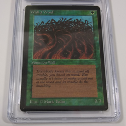 MTG Beta Wall of Wood CGC 9.5 MINT+ 1993 Vintage Graded NM - Image 3