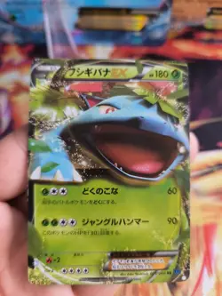 Pokemon Karte Card Holo Venusaur Ex Bisaflor XY Promo Special Pack japanese Exc - Image 2