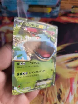 Pokemon Karte Card Holo Venusaur Ex Bisaflor XY Promo Special Pack japanese Exc - Image 3