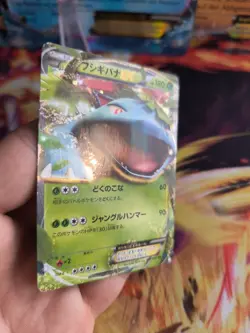 Pokemon Karte Card Holo Venusaur Ex Bisaflor XY Promo Special Pack japanese Exc - Image 5