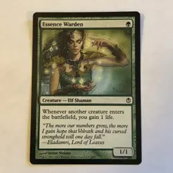 Essence Warden X1 NM Condition see pics - Image 1