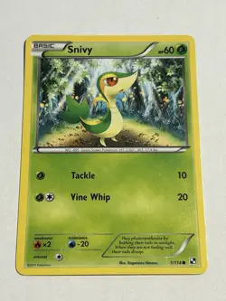 Pokemon SNIVY🔥 2011 Black & White Promo HOLO - 4-CARD LOT (4) - Image 2