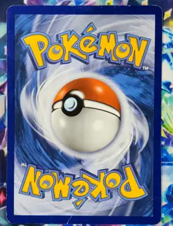 Pokemon Cards Jumbo cards, Charizard EX, Gengar EX, Gyarados GX - Image 3