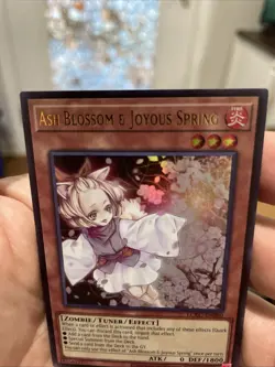 Ash Blossom & Joyous Spring LCKC-EN080 Unlimited Ultra Rare’s NM +Bonus FREESHIP - Image 2