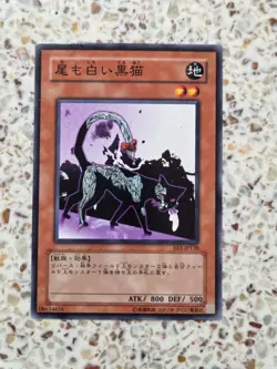 Yu-Gi-Oh! Cards Dark Cat with White Tail Japanese Normal - Image 1