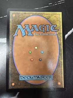 Hunting Grounds (Borderless) #445 - MTG DMR - M/NM Unplayed FAST2SHIP!! - Image 2