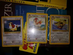 Shadowless Pidgey Pidgeotto Base Set Pidgeot Jungle Vintage Pokemon Cards WOTC - Image 1