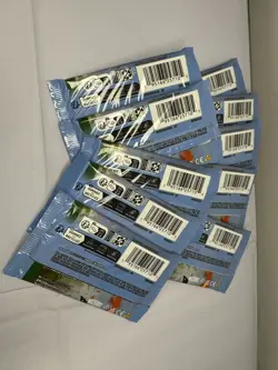 10 Magic the Gathering Bloomburrow Play Booster Packs - Image 2