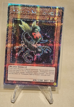 Predaplant Ophrys Scorpio-MP24-EN041-YU-GI-OH!-1ST EDITION-STARLITE RARE-Pg 1-2 - Image 1